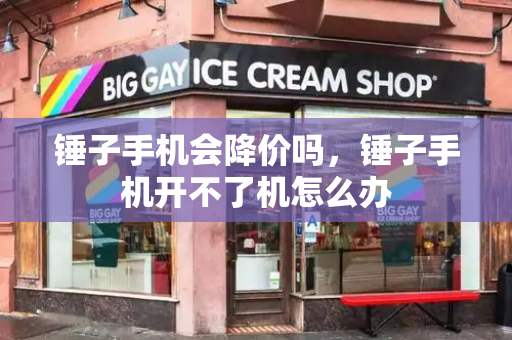 锤子手机会降价吗，锤子手机开不了机怎么办