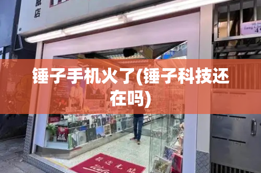 锤子手机火了(锤子科技还在吗)-第1张图片-星选测评