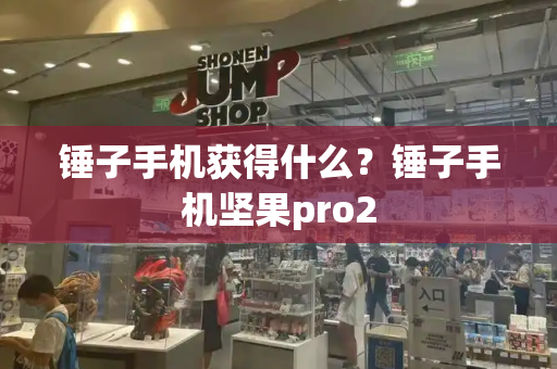 锤子手机获得什么？锤子手机坚果pro2