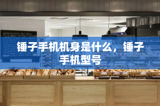 锤子手机机身是什么，锤子手机型号-第1张图片-星选测评