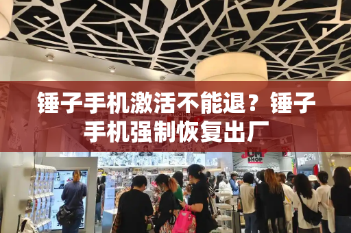 锤子手机激活不能退？锤子手机强制恢复出厂-第1张图片-星选测评