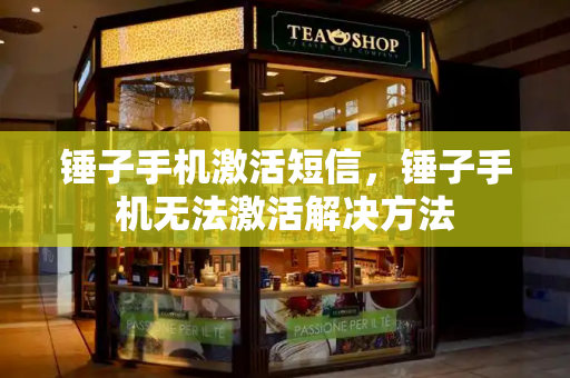 锤子手机激活短信，锤子手机无法激活解决方法-第1张图片-星选测评