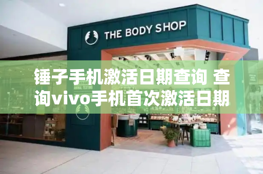锤子手机激活日期查询 查询vivo手机首次激活日期-第1张图片-星选测评