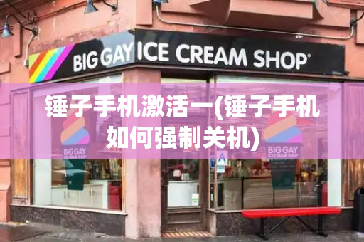 锤子手机激活一(锤子手机如何强制关机)-第1张图片-星选测评