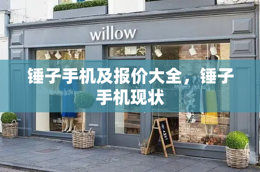 锤子手机及报价大全，锤子手机现状-第1张图片-星选测评