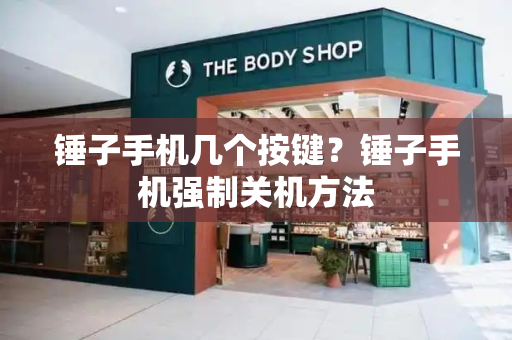 锤子手机几个按键？锤子手机强制关机方法-第1张图片-星选测评