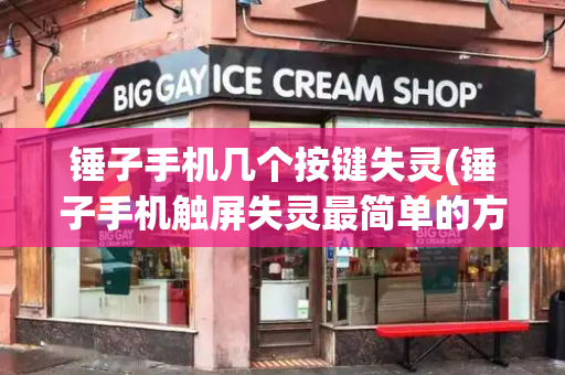 锤子手机几个按键失灵(锤子手机触屏失灵最简单的方法)