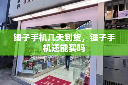 锤子手机几天到货，锤子手机还能买吗-第1张图片-星选测评