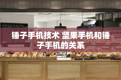 锤子手机技术 坚果手机和锤子手机的关系