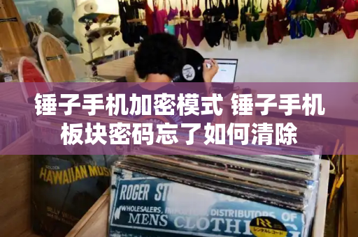 锤子手机加密模式 锤子手机板块密码忘了如何清除-第1张图片-星选测评