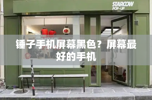 锤子手机屏幕黑色？屏幕最好的手机-第1张图片-星选测评