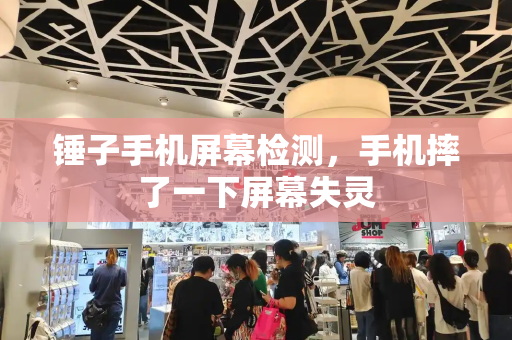 锤子手机屏幕检测，手机摔了一下屏幕失灵