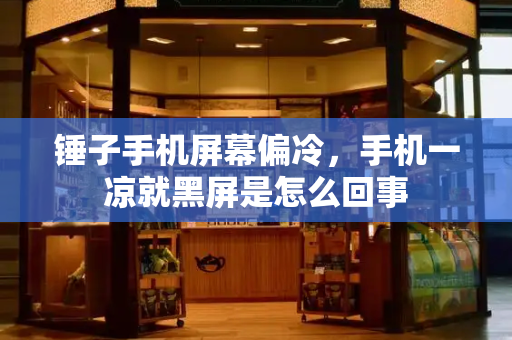 锤子手机屏幕偏冷，手机一凉就黑屏是怎么回事