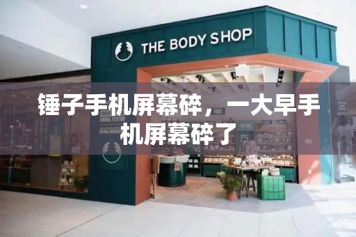锤子手机屏幕碎，一大早手机屏幕碎了-第1张图片-星选测评