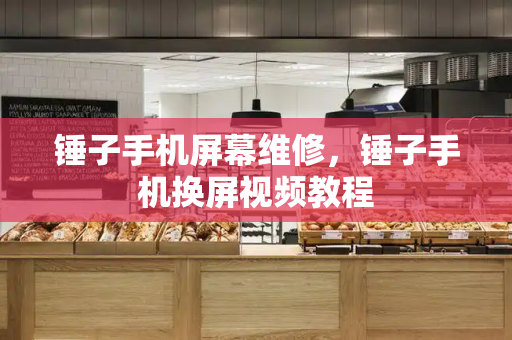 锤子手机屏幕维修，锤子手机换屏视频教程-第1张图片-星选测评