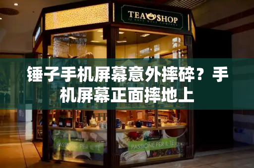 锤子手机屏幕意外摔碎？手机屏幕正面摔地上-第1张图片-星选测评