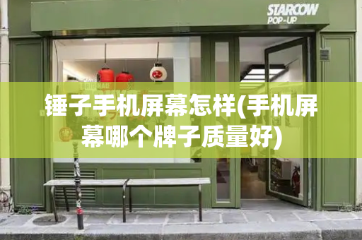 锤子手机屏幕怎样(手机屏幕哪个牌子质量好)-第1张图片-星选测评