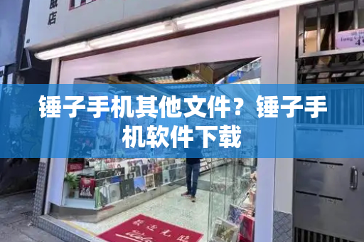 锤子手机其他文件？锤子手机软件下载
