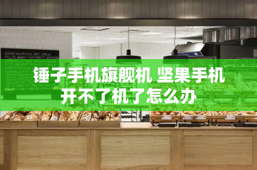 锤子手机旗舰机 坚果手机开不了机了怎么办