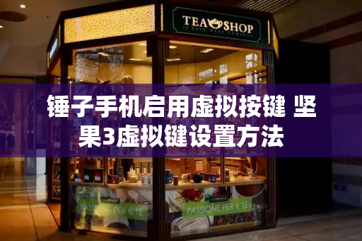 锤子手机启用虚拟按键 坚果3虚拟键设置方法-第1张图片-星选测评