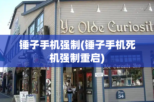 锤子手机强制(锤子手机死机强制重启)-第1张图片-星选测评