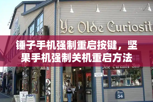 锤子手机强制重启按键，坚果手机强制关机重启方法-第1张图片-星选测评
