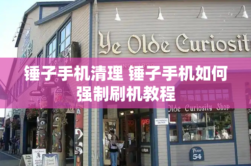 锤子手机清理 锤子手机如何强制刷机教程-第1张图片-星选测评