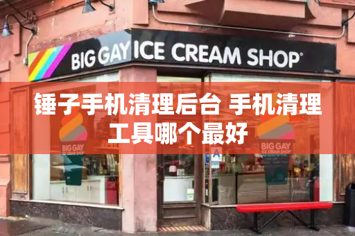 锤子手机清理后台 手机清理工具哪个最好-第1张图片-星选测评