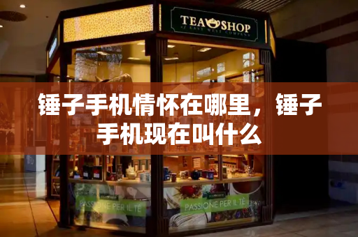 锤子手机情怀在哪里，锤子手机现在叫什么