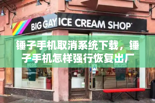 锤子手机取消系统下载，锤子手机怎样强行恢复出厂-第1张图片-星选测评