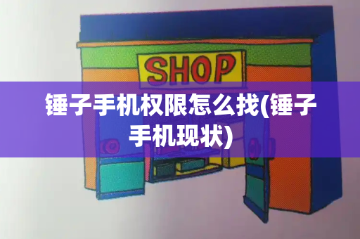 锤子手机权限怎么找(锤子手机现状)