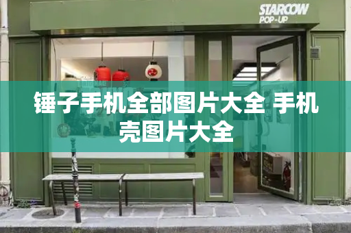 锤子手机全部图片大全 手机壳图片大全-第1张图片-星选测评