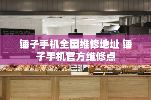 锤子手机全国维修地址 锤子手机官方维修点-第1张图片-星选测评