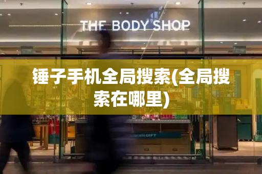 锤子手机全局搜索(全局搜索在哪里)