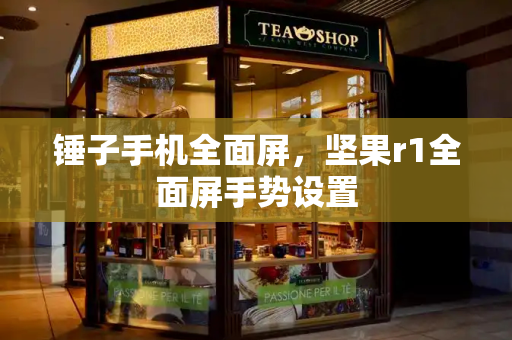 锤子手机全面屏，坚果r1全面屏手势设置-第1张图片-星选测评