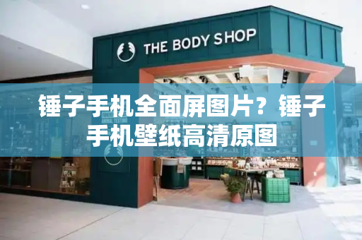 锤子手机全面屏图片？锤子手机壁纸高清原图-第1张图片-星选测评
