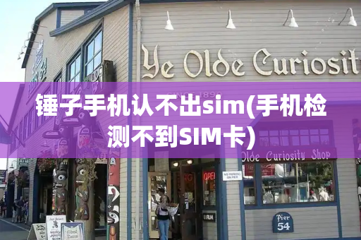 锤子手机认不出sim(手机检测不到SIM卡)-第1张图片-星选测评