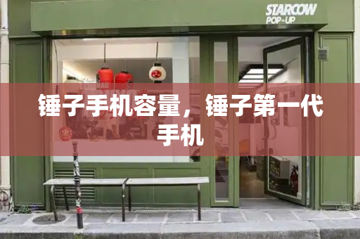 锤子手机容量，锤子第一代手机-第1张图片-星选测评