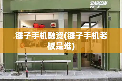 锤子手机融资(锤子手机老板是谁)
