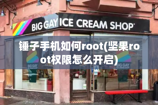 锤子手机如何root(坚果root权限怎么开启)-第1张图片-星选测评
