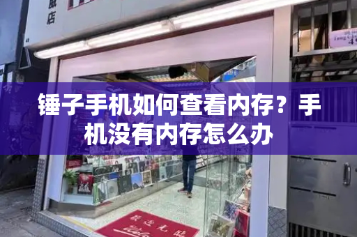 锤子手机如何查看内存？手机没有内存怎么办