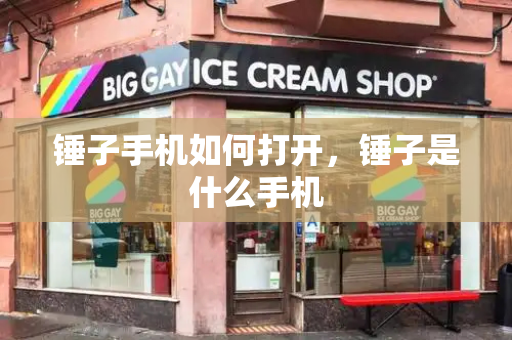 锤子手机如何打开，锤子是什么手机-第1张图片-星选测评
