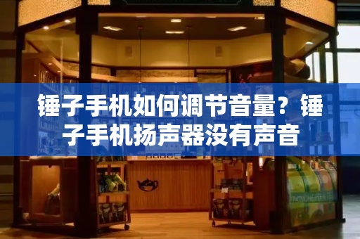 锤子手机如何调节音量？锤子手机扬声器没有声音