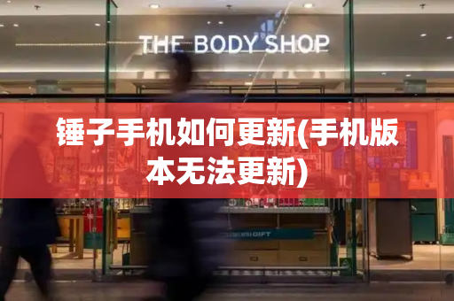 锤子手机如何更新(手机版本无法更新)-第1张图片-星选测评