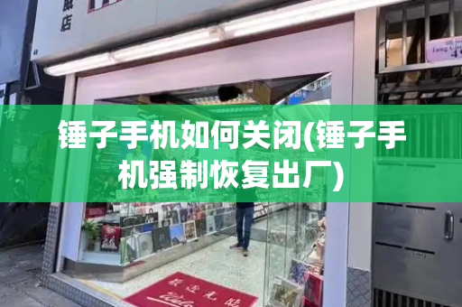 锤子手机如何关闭(锤子手机强制恢复出厂)-第1张图片-星选测评
