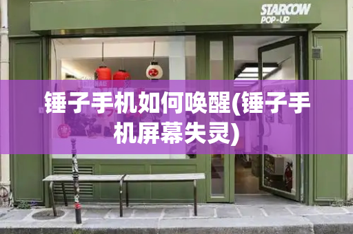 锤子手机如何唤醒(锤子手机屏幕失灵)