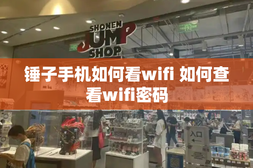 锤子手机如何看wifi 如何查看wifi密码