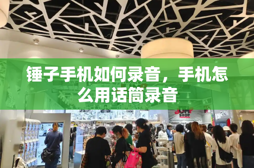 锤子手机如何录音，手机怎么用话筒录音