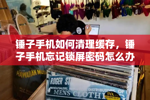锤子手机如何清理缓存，锤子手机忘记锁屏密码怎么办-第1张图片-星选测评