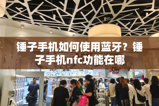 锤子手机如何使用蓝牙？锤子手机nfc功能在哪-第1张图片-星选测评